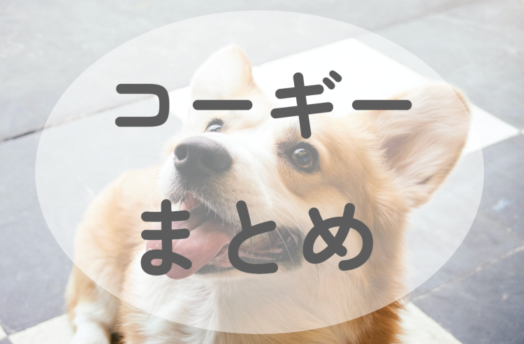 コーギー愛